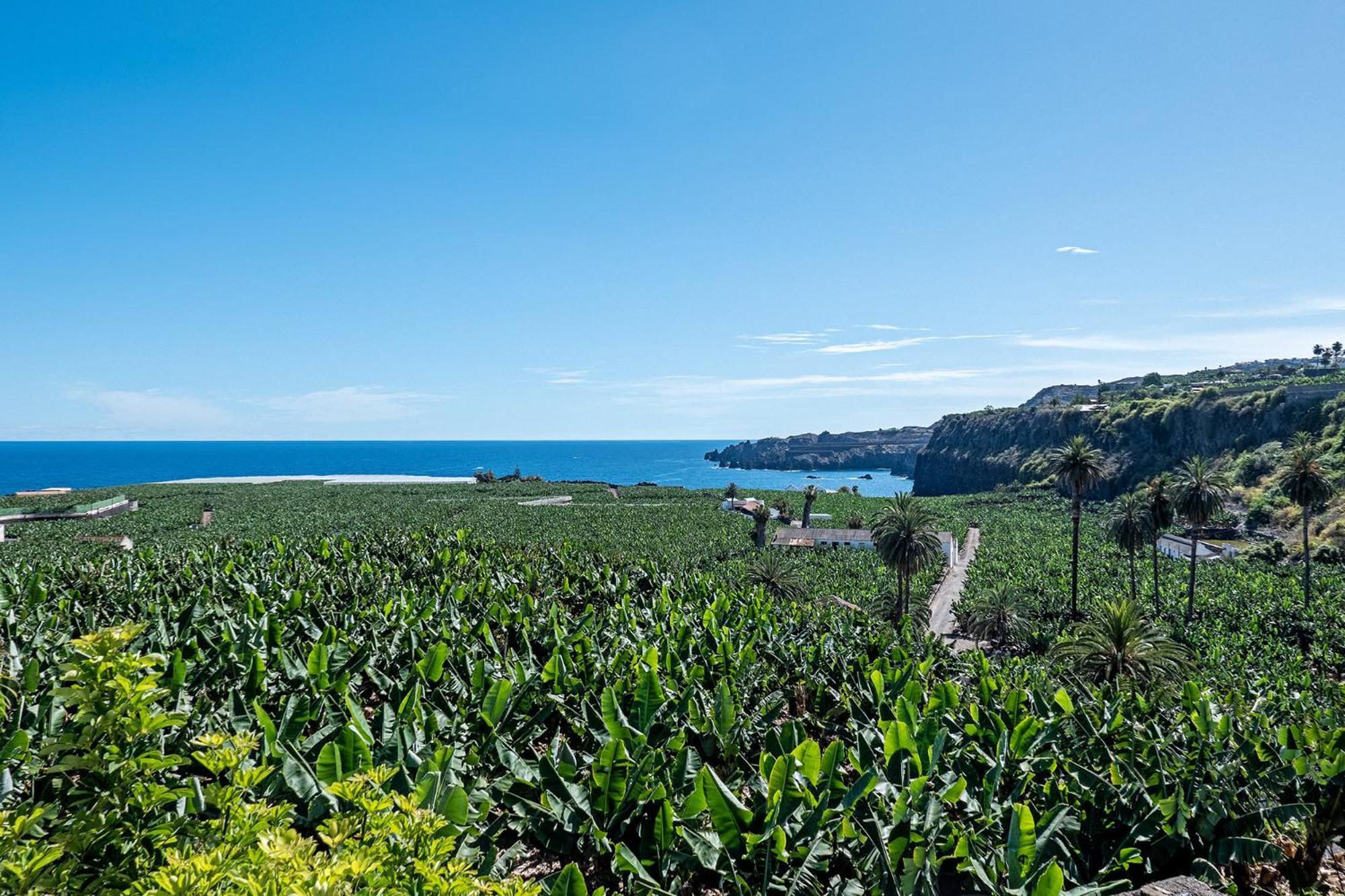 ガラチコTerrazas Malpais - El Guincho, Garachicoアパートメント エクステリア 写真